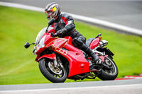 PJ-Motorsport-2019;anglesey;brands-hatch;cadwell-park;croft;donington-park;enduro-digital-images;event-digital-images;eventdigitalimages;mallory;no-limits;oulton-park;peter-wileman-photography;racing-digital-images;silverstone;snetterton;trackday-digital-images;trackday-photos;vmcc-banbury-run;welsh-2-day-enduro
